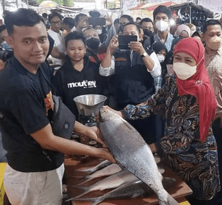 Gubernur Jawa Timur Borong Bandeng Kawak di Gresik