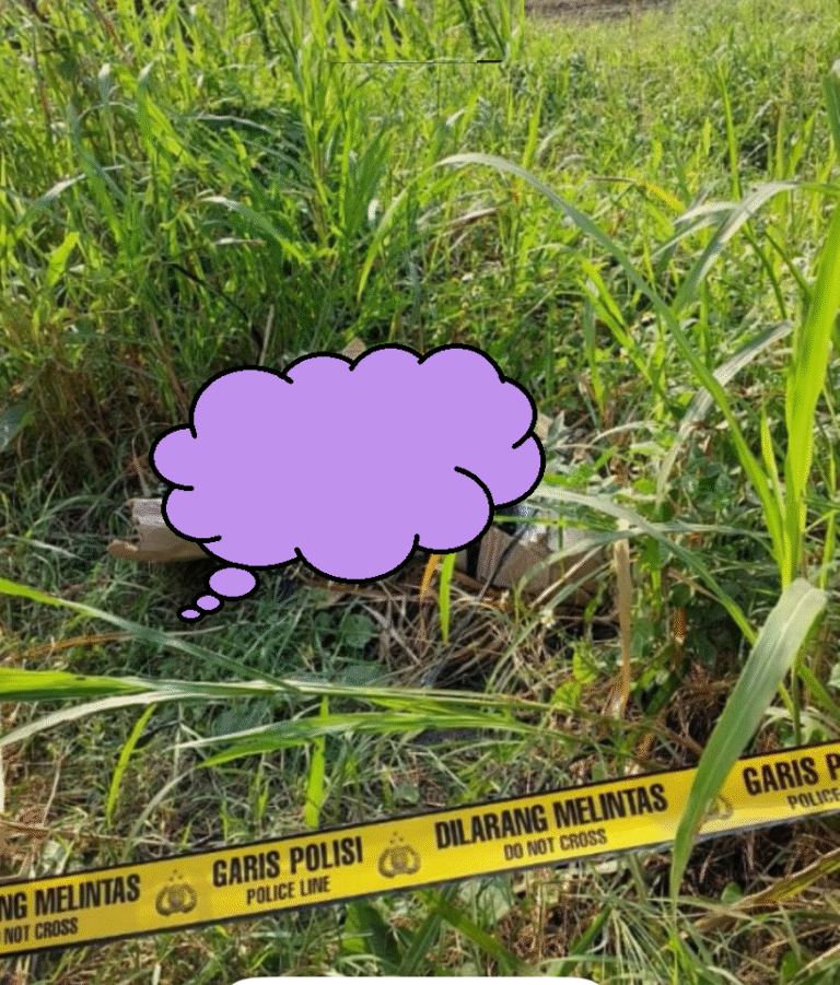 Misteri Jasad Dalam Kardus di Kedamean Terungkap: Korban Ternyata Seorang Driver Ojol Asal Sidoarjo